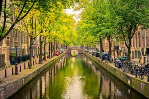 Individual Trip: Amsterdam