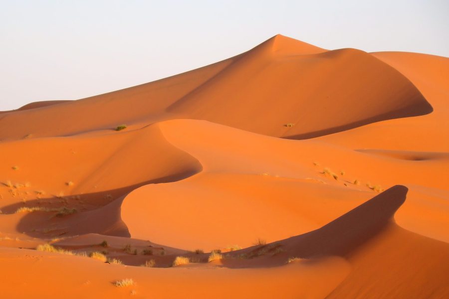 Individual Trip: Morocco – The Sahara & Merzouga