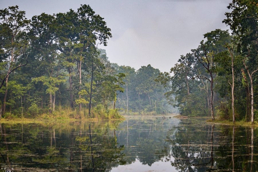 Individual Trip: Nepal – Chitwan & Lumbini