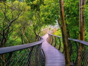 Individual Trip: South Africa (Cape Town)