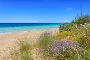 Individual Trip: Apulia