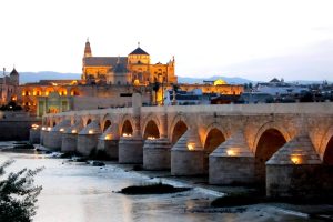 Individual Trip: Cordoba