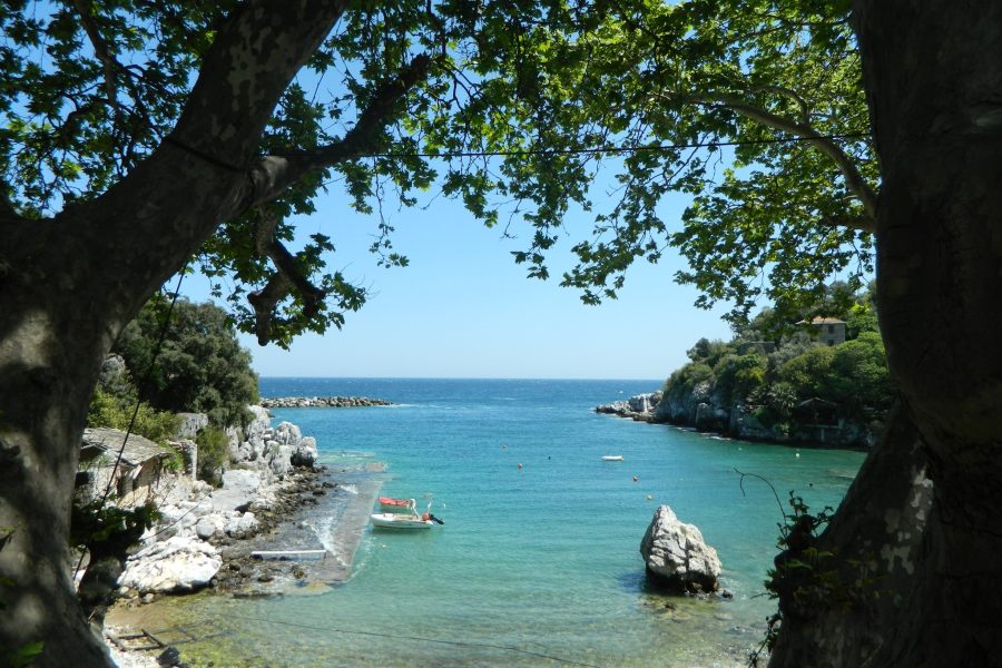Damouchari bay on Mount Pelion with turquoise water and plane trees