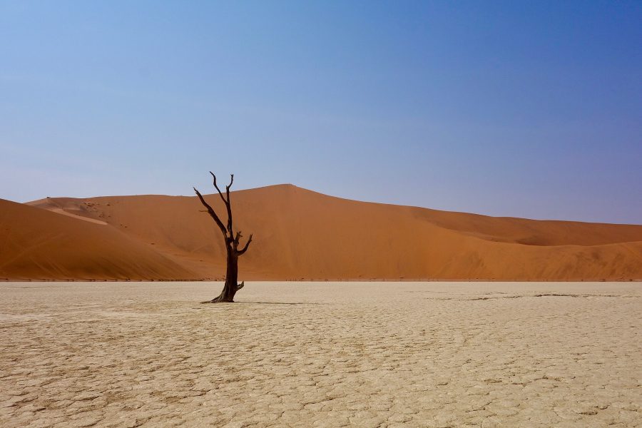 The dead trees and dunes of Deadvlei in Namibia
