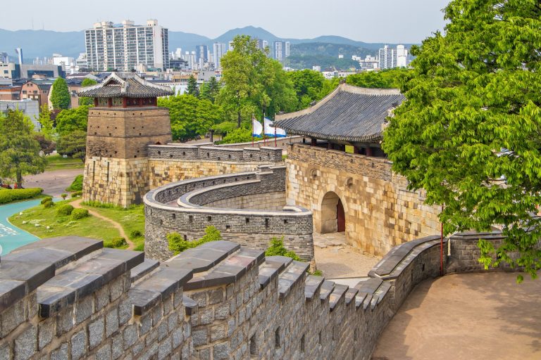 Individual Trip: South Korea