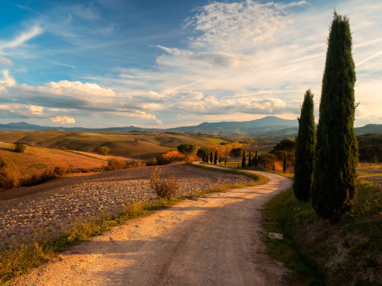 Individual Trip: Tuscany