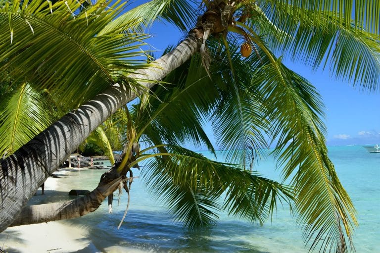 Individual Trip: French Polynesia