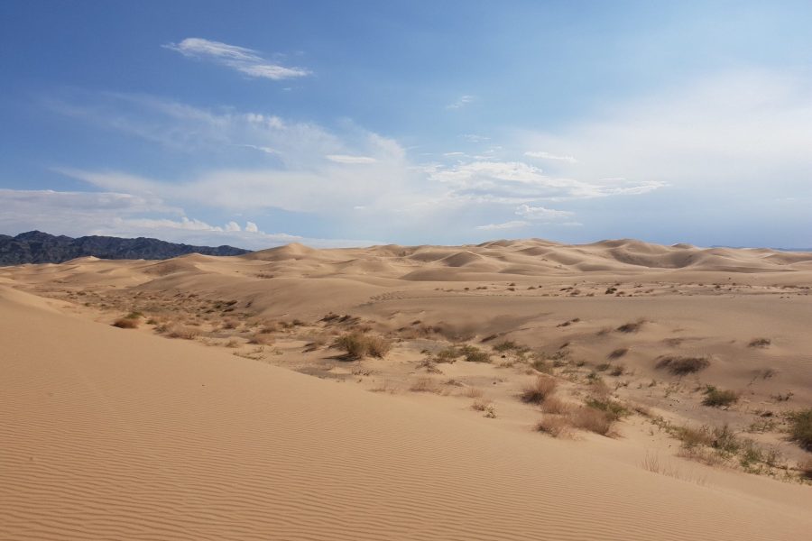 Individual Trip: Mongolia