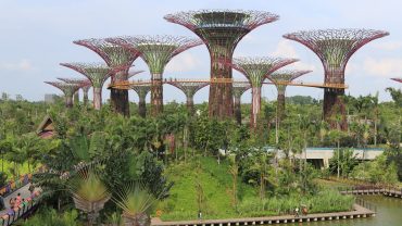 Individual Trip: Singapore – Marina Bay