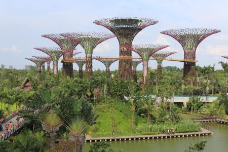 Individual Trip: Singapore – Marina Bay