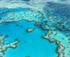 Individual Trip: Australia – The Great Barrier Reef