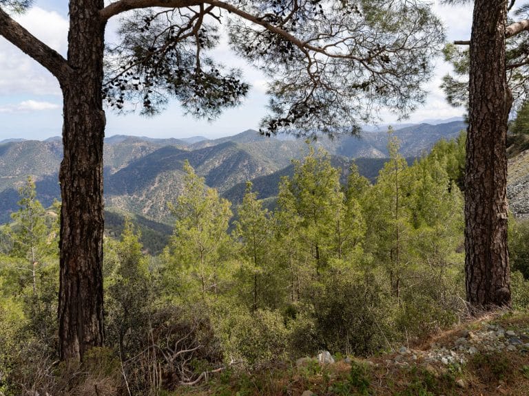 Individual Trip: Cyprus – Troodos