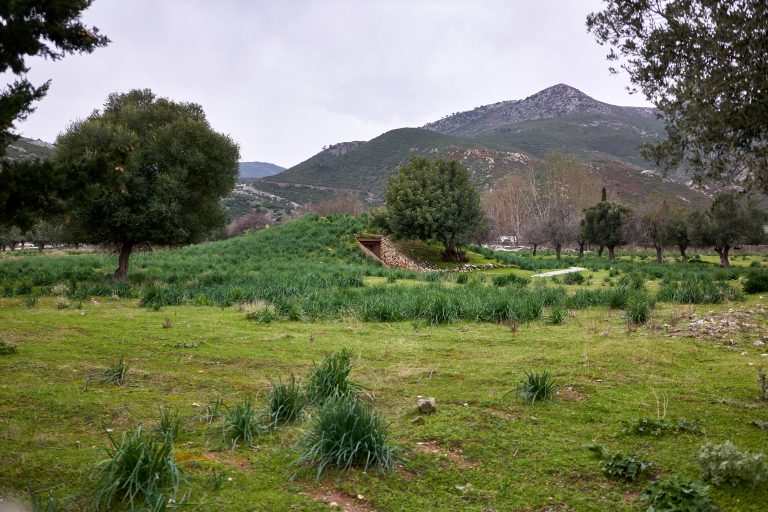 Βορειοανατολική Αττική – Μαραθώνας, Βαρνάβας & Καπανδρίτι