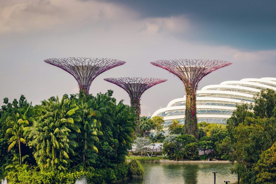 Σιγκαπούρη, τα Supertrees στους Gardens by the Bay