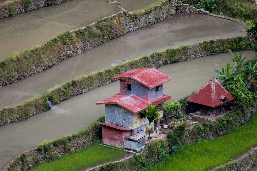 Individual Trip: Philippines – Manila, Banaue, Rice Terraces, Boracay, 11 days