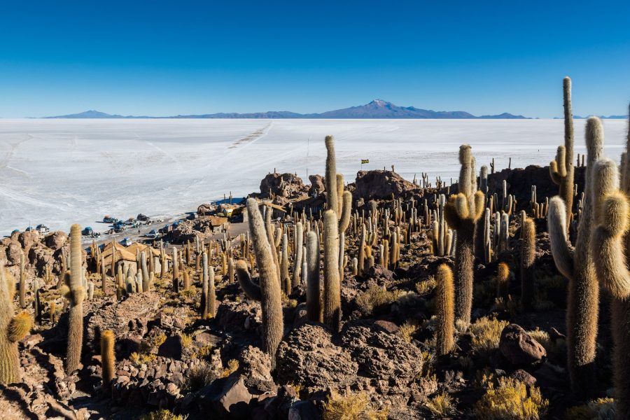 Individual Trip: Peru – Bolivia… Journey to the Souls of the Andes, 11 days