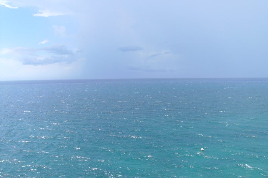 Individual Trip: Jamaica