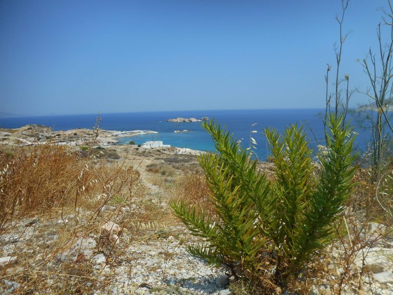 Ατομικό Ταξίδι: Κίμωλος