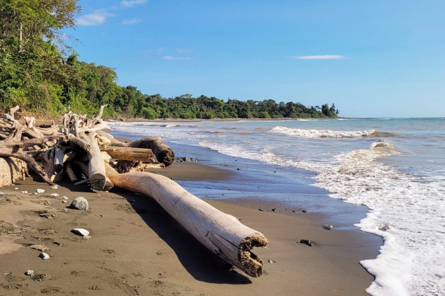 Individual Trip: Costa Rica, Manuel Antonio: Exploring Costa Rica, 10 days