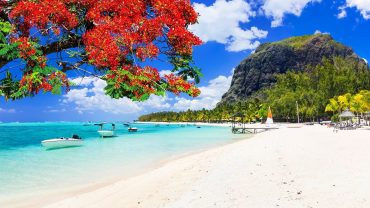 Mauritius Travel Guide: What to See, When to Go & Tips