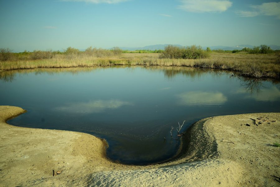 Individual Trip by Car: Maroneia & Nestos Delta