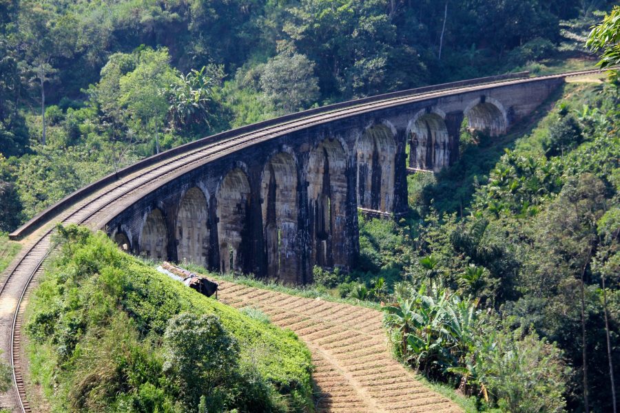 Individual Trip: Sri Lanka… Unique experiences, 9 days