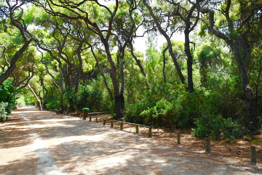 Individual Trip: Xylokastro