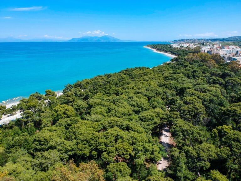 Ατομικό Ταξίδι: Ξυλόκαστρο