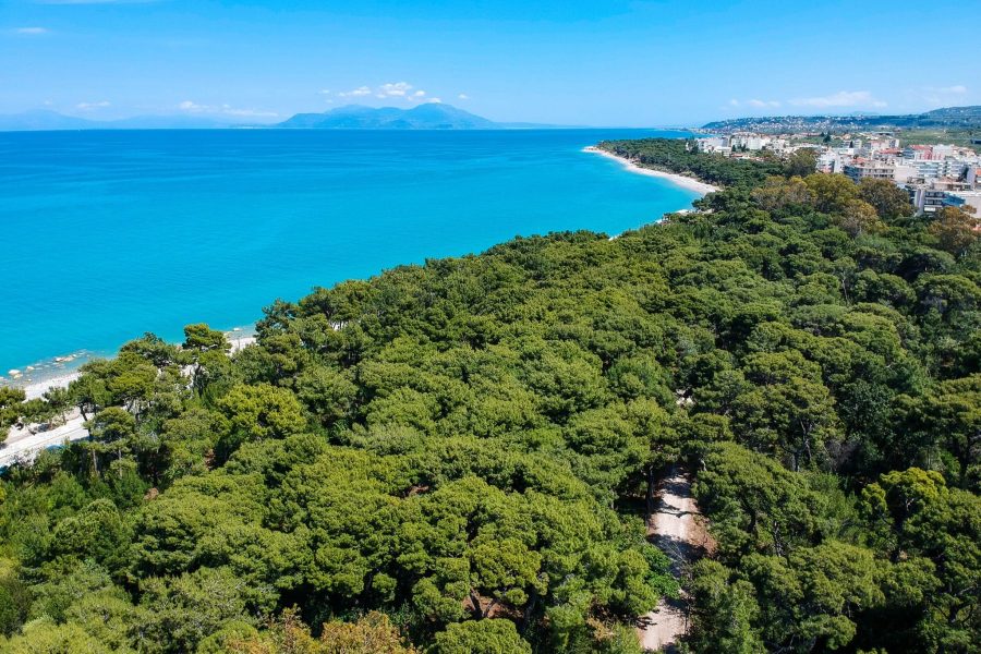 Το πευκοδάσος του Πευκιά να σμίγει με τη θάλασσα στο Ξυλόκαστρο Κορινθίας